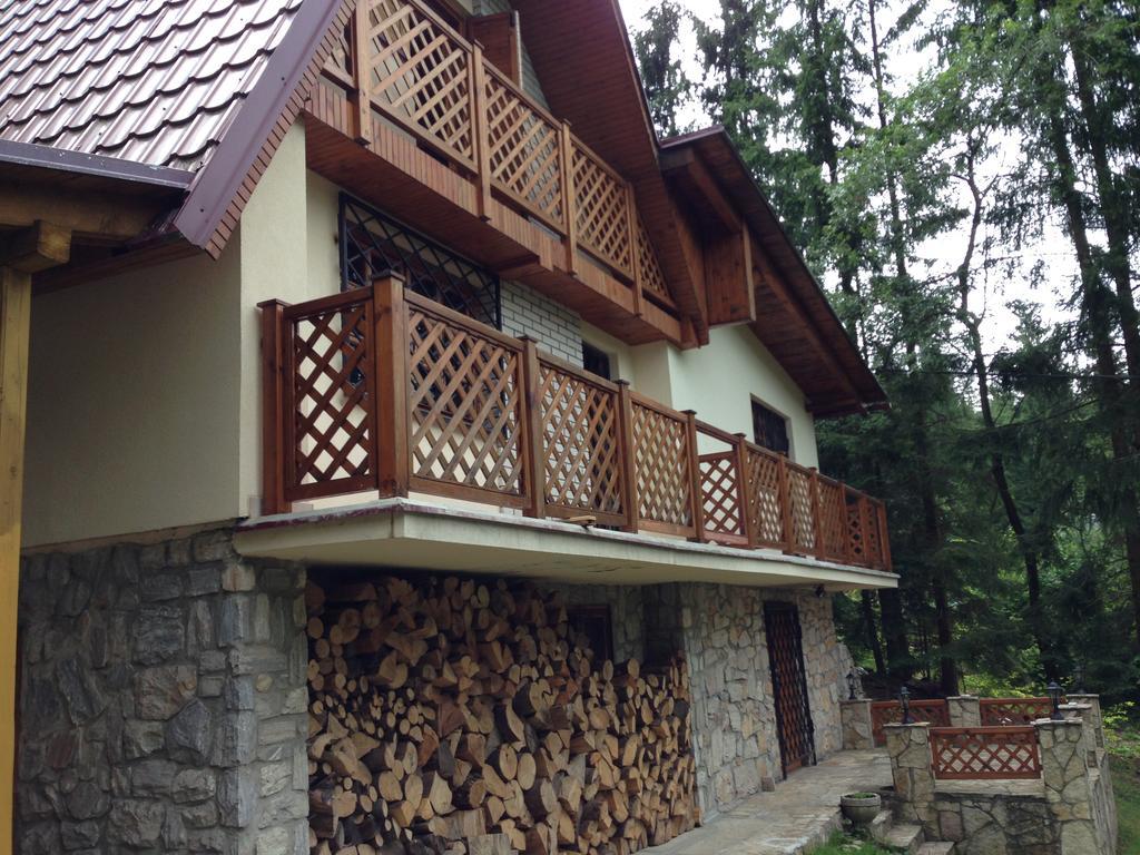 Villa Residenz Pal à Kokava nad Rimavicou Extérieur photo
